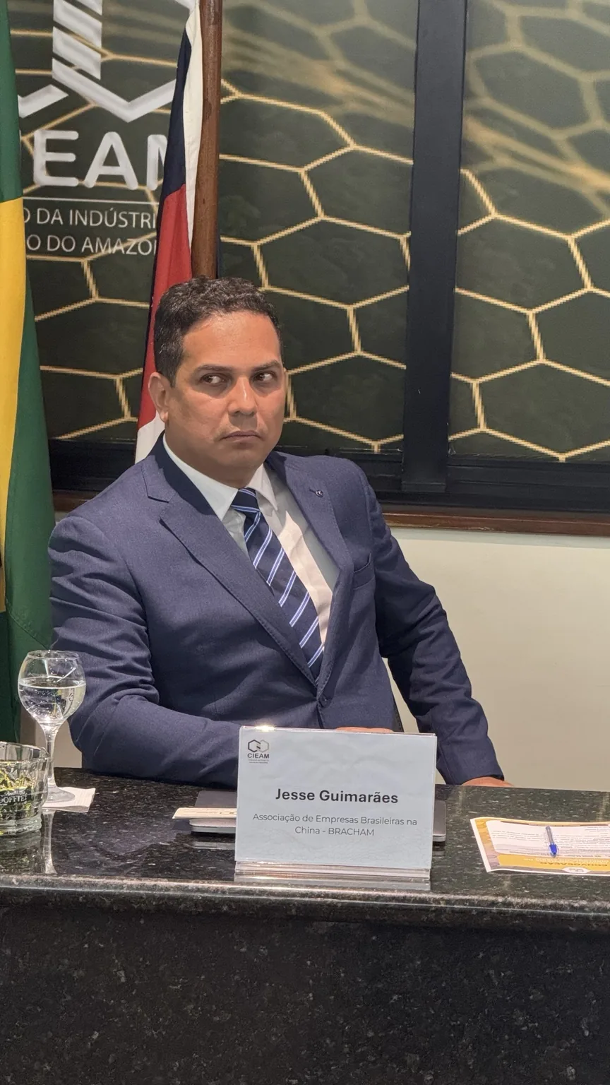 Representação institucional da BRACHAM em painel no CIEAM.